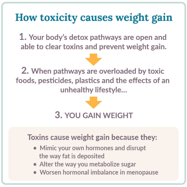 our illustration shows how overloaded detox pathways can lead to weight gain