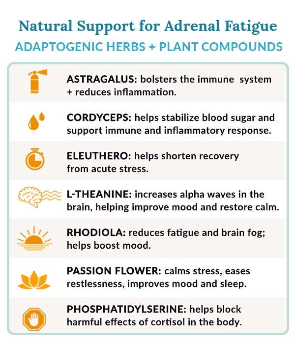 Natural herbs for adrenal support 