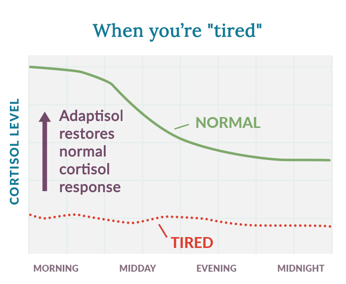 cortisol graph showing tired