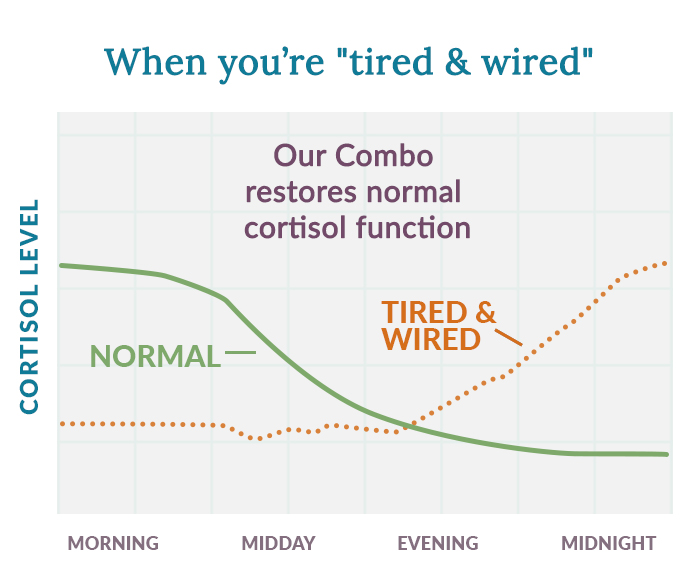 cortisol graph showing tired & wired