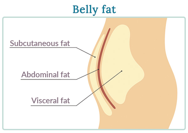meno belly fat