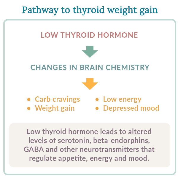 thyroid weight gain pathway